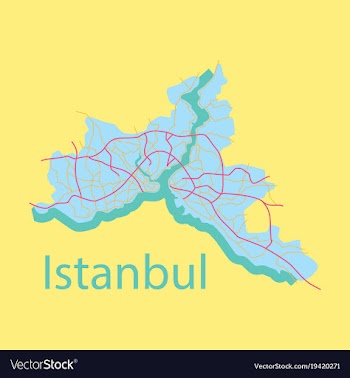 High quality map of istanbul flat with borders of vector image