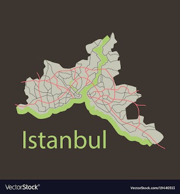 High quality map of istanbul flat with borders of vector image