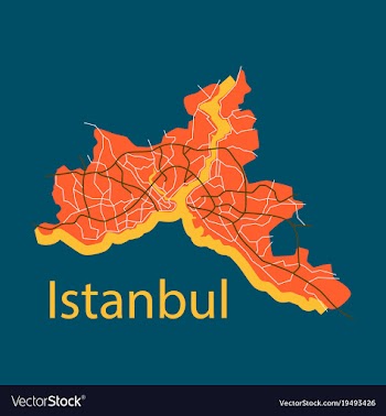 High quality map of istanbul flat with borders of vector image