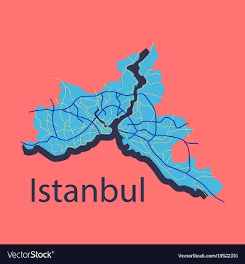 High quality map of istanbul flat with borders of vector image