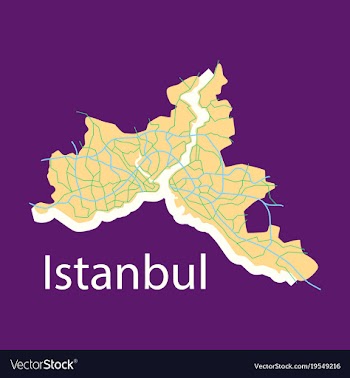 High quality map of istanbul flat with borders of vector image