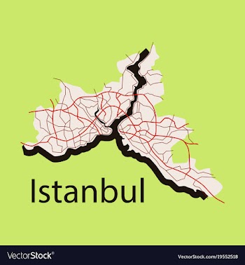 High quality map of istanbul flat with borders of vector image
