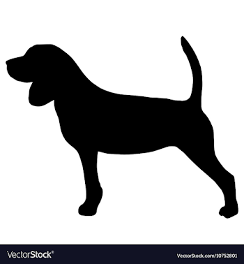High quality silhouette of beagle Royalty Free Vector Image