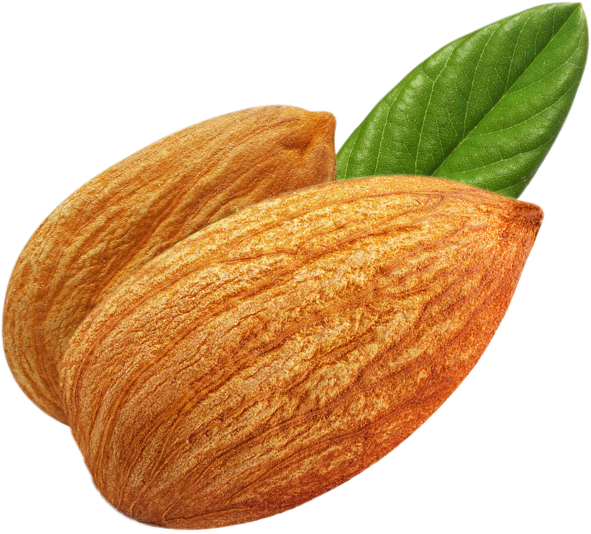 High resolution Almond PNG