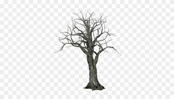High Resolution Halloween Tree Png Icon Image - Creepy Tree Transparent Background