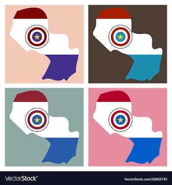 High resolution paraguay map with country flag vector image