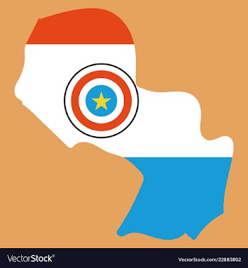 High resolution paraguay map with country flag vector image