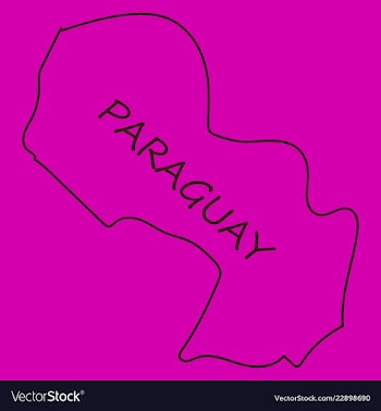 High resolution paraguay map with country flag vector image