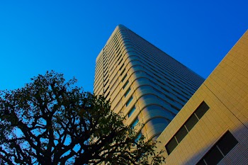 High Rise Building B