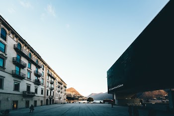 High Rise Building Near on Concrete Pavement