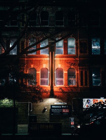 high-rise building near trees with light bulbs