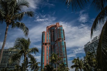 High rise buildings and  palm trees