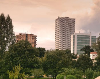 High Rise Buildings Near Green Leaf Trees Under White Sky during Daytime