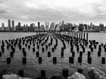 High-rise Buildings With Logs in Water