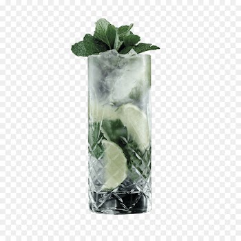 Highball glass Mojito Vodka tonic Gin and tonic - mojito 