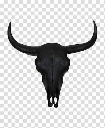Highborn, white animal skull with horn transparent background PNG clipart