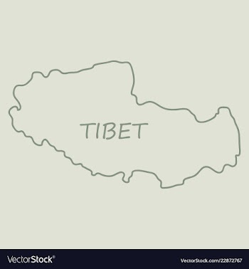 Highly detailed country map tibet vector image
