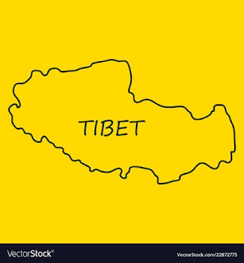 Highly detailed country map tibet vector image