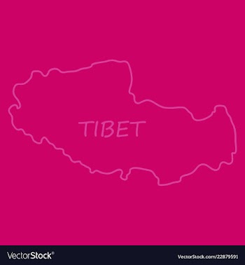 Highly detailed country map tibet vector image