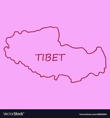 Highly detailed country map tibet vector image