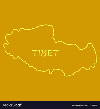 Highly detailed country map tibet vector image