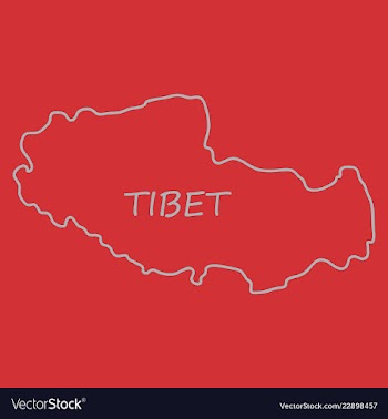 Highly detailed country map tibet vector image