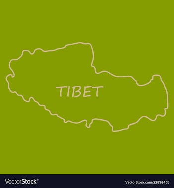 Highly detailed country map tibet vector image