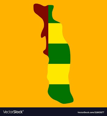 Highly detailed country silhouette with flag and vector image