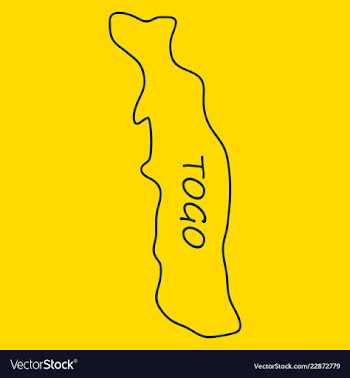 Highly detailed country silhouette with flag and vector image