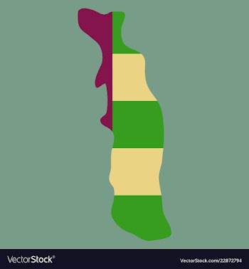 Highly detailed country silhouette with flag and vector image