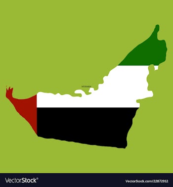 Highly detailed country silhouette with flag and vector image