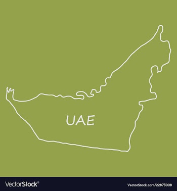 Highly detailed country silhouette with flag and vector image