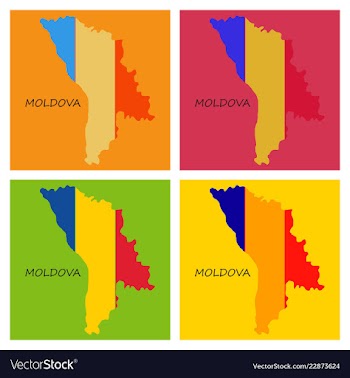Highly detailed country silhouette with flag and vector image