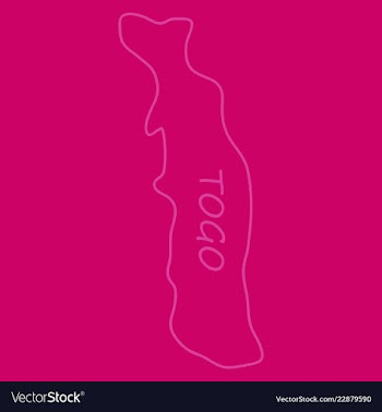 Highly detailed country silhouette with flag and vector image