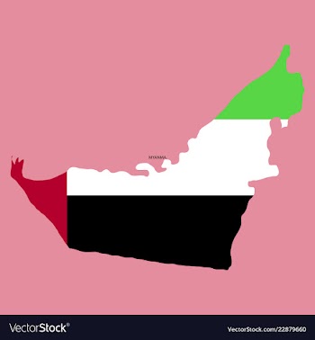 Highly detailed country silhouette with flag and vector image