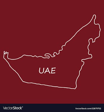 Highly detailed country silhouette with flag and vector image