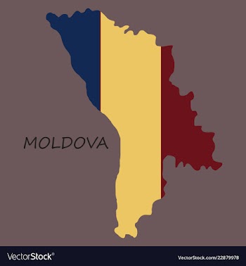 Highly detailed country silhouette with flag and vector image
