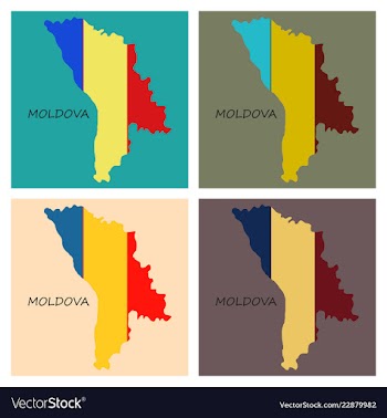 Highly detailed country silhouette with flag and vector image