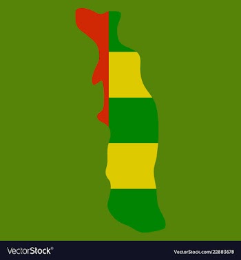 Highly detailed country silhouette with flag and vector image