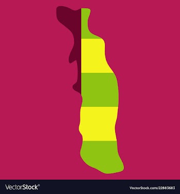 Highly detailed country silhouette with flag and vector image