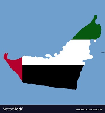 Highly detailed country silhouette with flag and vector image