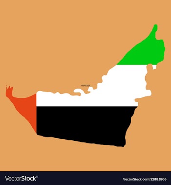 Highly detailed country silhouette with flag and vector image