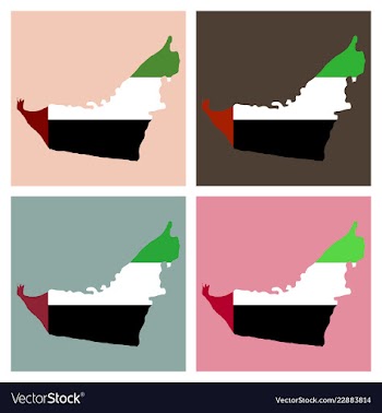 Highly detailed country silhouette with flag and vector image