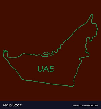 Highly detailed country silhouette with flag and vector image