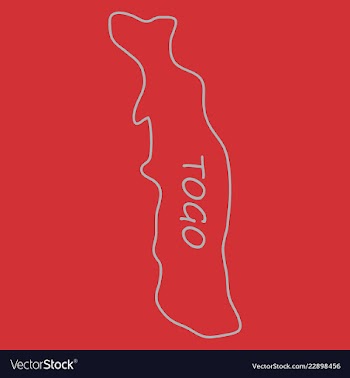 Highly detailed country silhouette with flag and vector image