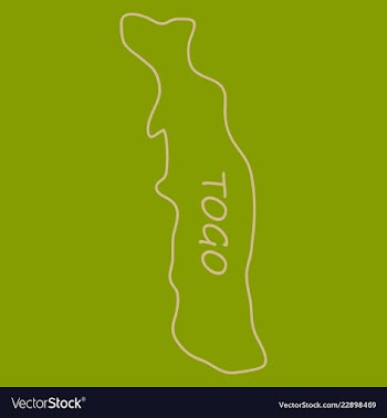 Highly detailed country silhouette with flag and vector image