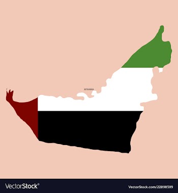 Highly detailed country silhouette with flag and vector image