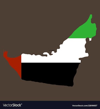 Highly detailed country silhouette with flag and vector image