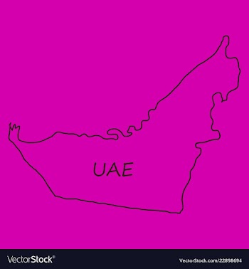 Highly detailed country silhouette with flag and vector image