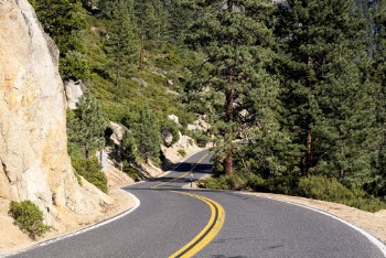 Highway Between Green Trees